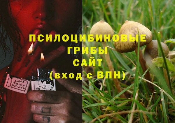 COCAINE Михайловск