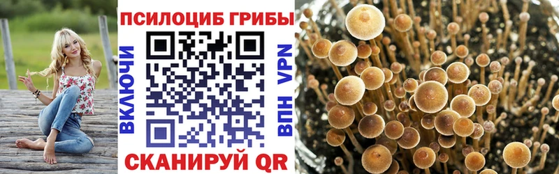Псилоцибиновые грибы ЛСД  Сарапул 
